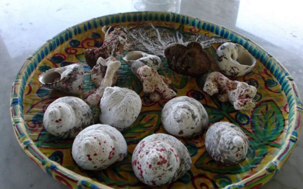 Cookies Just Barbados Just Barbados